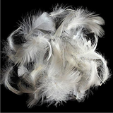 Supportive Feather Center Chamber
