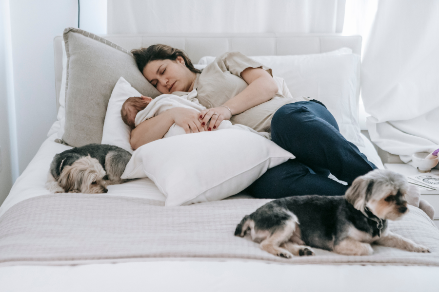 Goose Down Pillows: The Ultimate Sleep Solution for Moms' Neck Health