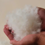 Cloud-Like Goose Down Comfort
